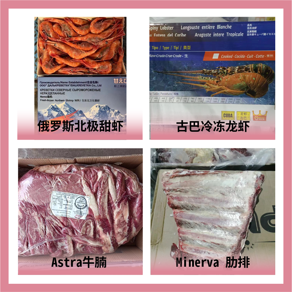 中國供銷農產品集團有限公司